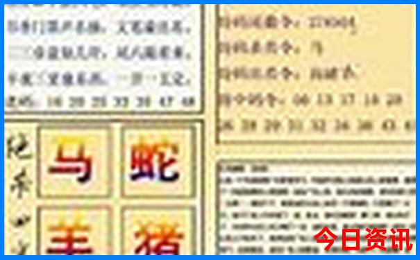 盗贼最正确一肖